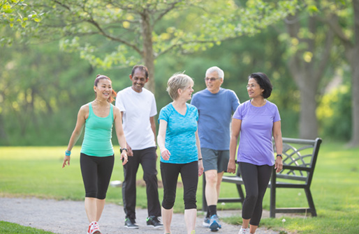 group of seniors on a walk in the forest