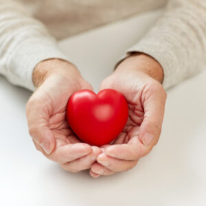 "close up of senior hands holding a red heart"