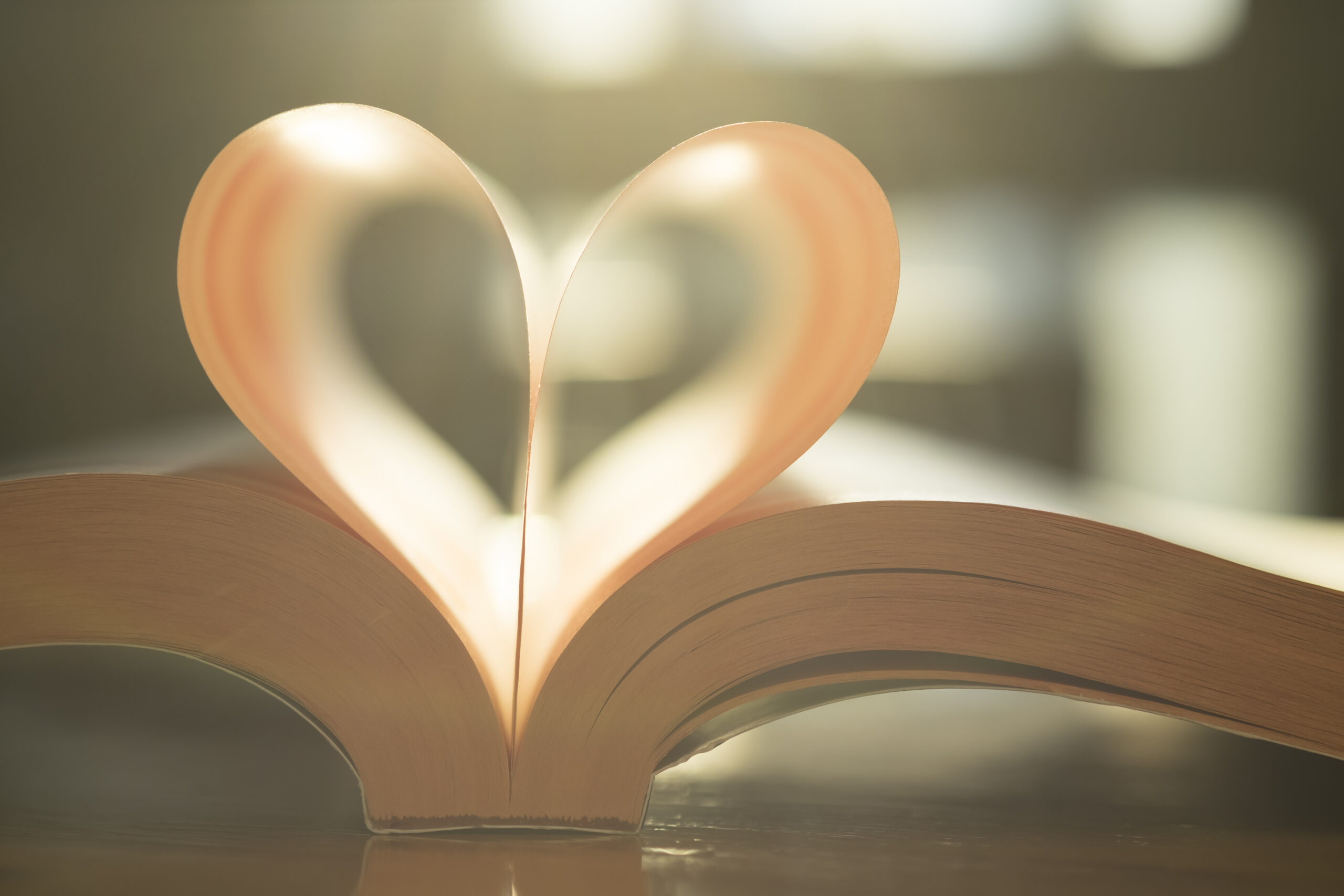 "heart shaped pages in a book under sunlight"